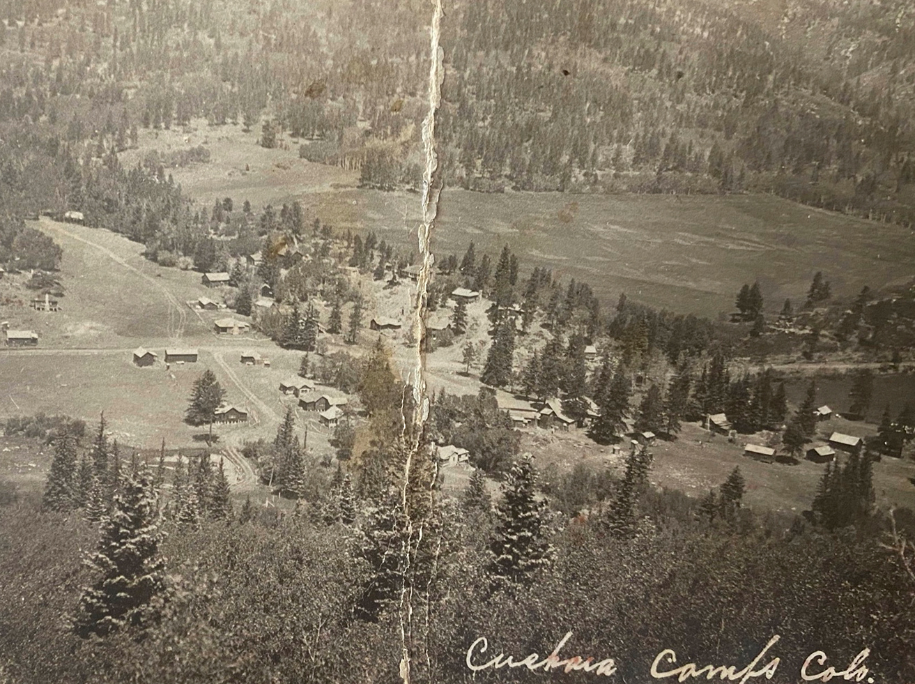 A Biography of George Alfred Mayes A Biography of George Alfred Mayes