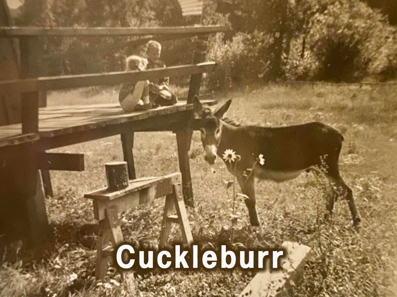 A Biography of George Alfred Mayes A Biography of George Alfred Mayes